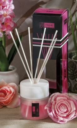 DIFFUSORE DI FRAGRANZA CON BASTONCINI 100 ML